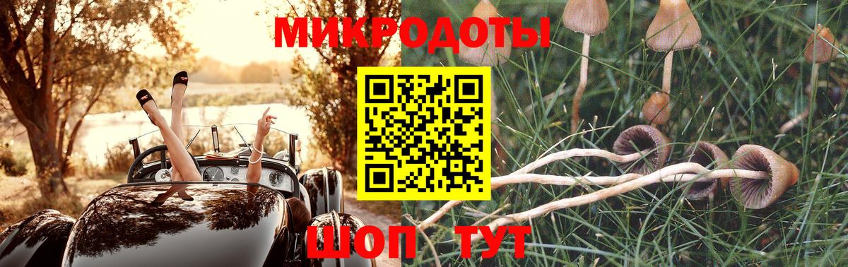 Галлюциногенные грибы Cubensis  Вход с VPN  Галлюциногенные грибы Psilocybine cubensis  Белогорск 